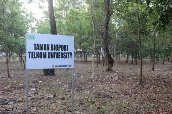 Tanah Biopori Telkom University