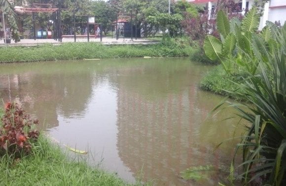 Creating a Green Campus: The Role of Rainwater Storage Ponds at Telkom University