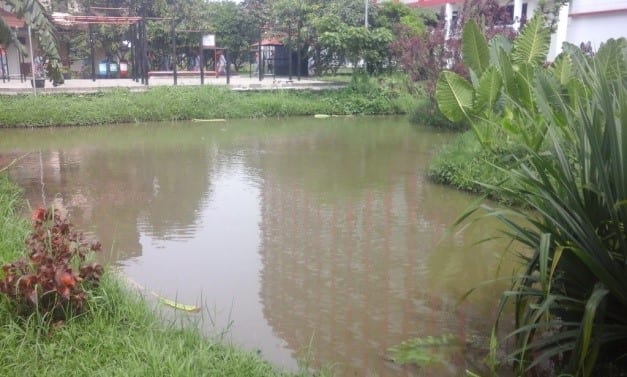 kolam dengan fungsi menampung air hujan