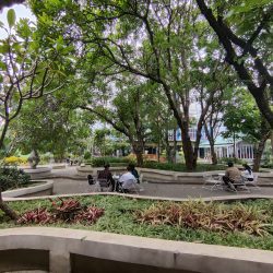 Optimizing Open Space on Campus: Students Studying in the Middle of Natural Beauty