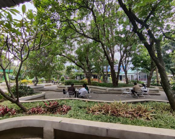 Optimizing Open Space on Campus: Students Studying in the Middle of Natural Beauty