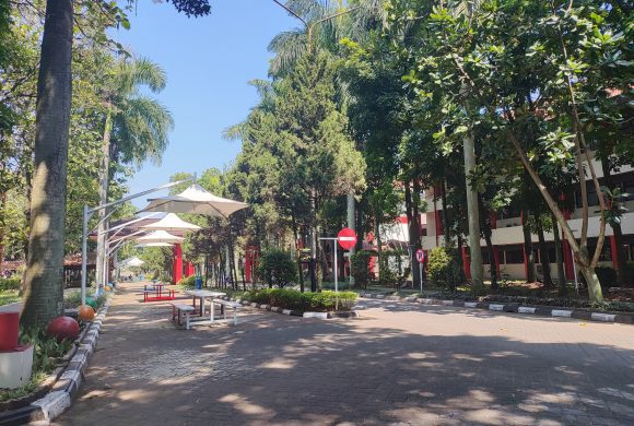 Improving Pedestrian Paths on Campus: Concrete Steps to Reduce Vehicle Use and Create a Green Campus Improving Pedestrian Paths on Campus: Concrete Steps to Reduce Vehicle Use and Create a Green Campus