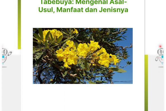 Tabebuya: Getting to Know the Origin, Benefits and Types Tabebuya: Getting to Know the Origin, Benefits and Types