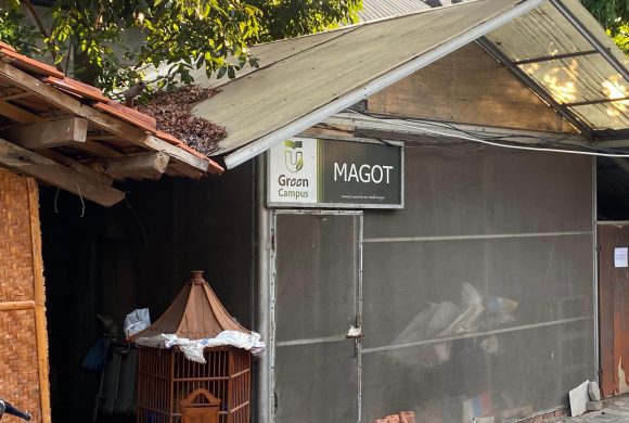 Maggot Cultivation as a Sustainable Solution in Organic Waste Management in Telkom University Environment Maggot Cultivation as a Sustainable Solution in Organic Waste Management in Telkom University Environment